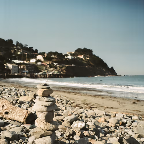 California Gold
