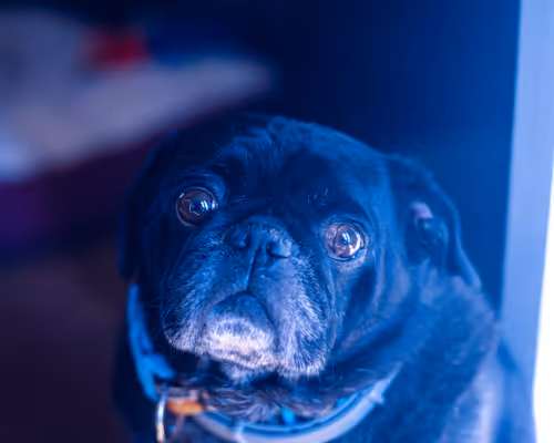 Item #76728187130834066422124200903786064407558599235583028527391947695208313913345 Media