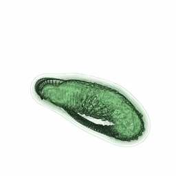 Item #87495691051819618160782043165871758120745529937108859909899536689047292346369 Media