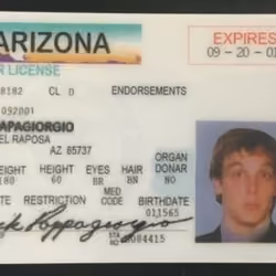 Mr. Papagiorgio