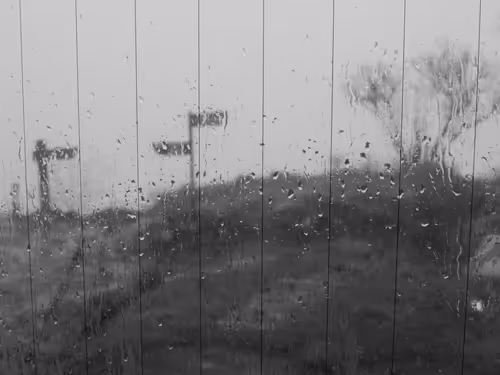 Item #65472528595306385519589273190289195289449917673066579977575224169500969533540 Media