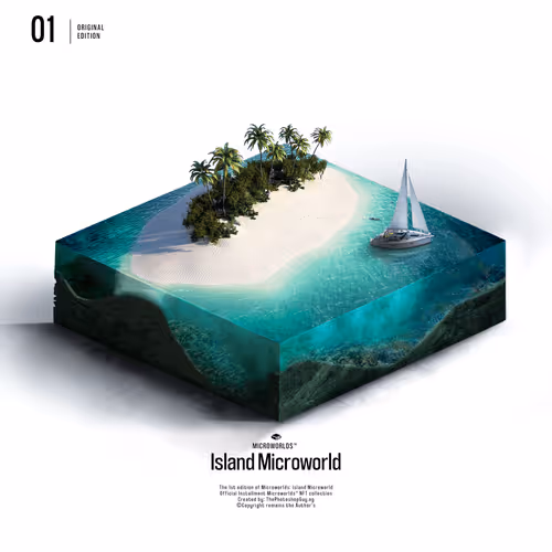 Untitled Collection #481022723