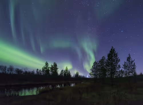 Item #35299893727096286200609341642010277792259011639099896802846543037610646831105 Media