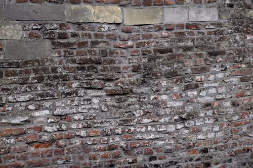 Item #916077490281078954391891268022086119289121145792755899354399221118194941953 Media