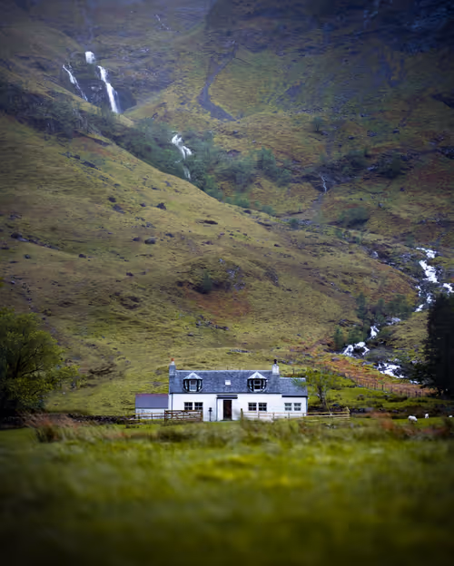 Item #59404681870809906448390957325299961742928436828892721220786848784712451751937 Media