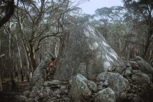 Item #61391337171317140422773218600803831211988989866451472612993262348282311475201 Media