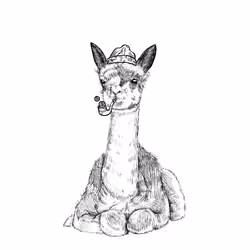 Llama