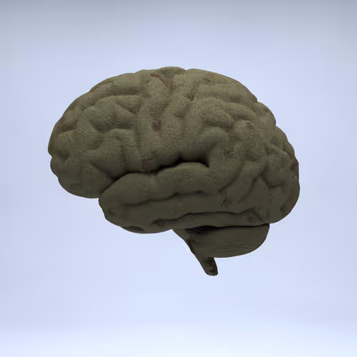 Item #77412820926303725204956055566925211190020908428863033075197849066488910053377 Media