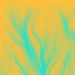 Anima #008