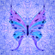 The Butterfleye