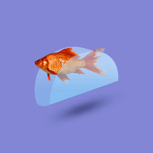 Item #48147112367732748963671701993981006270615770128176344863527630784654341046273 Media