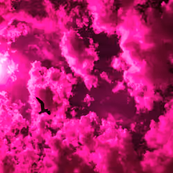 PINK Flight of Icarus 7/9