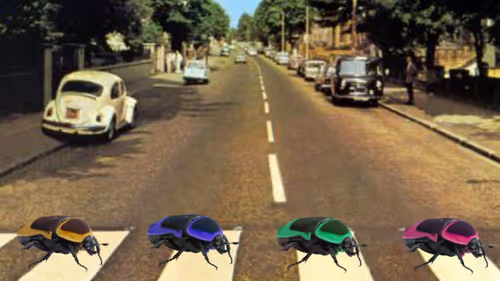 Item #36485824513700346925635491140101516969102708701637270493589643178515755958273 Media