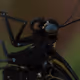 105090597216655980557633683149084672751347825439893935605656298013323283136513