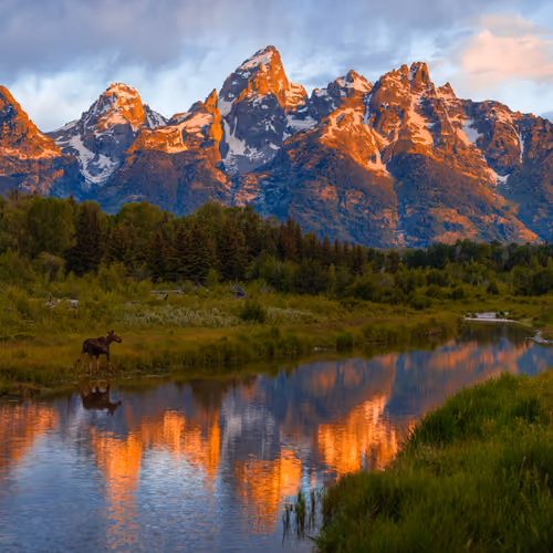 Teton x Moose x Sunrise