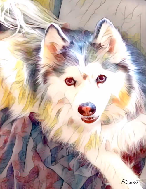 Item #100912189096696144949180120692345760590440403347893883972252148250466727231489 Media