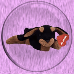 41776025324002017952572422073316458441069080831023694546850786553751966580737