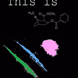 This Is