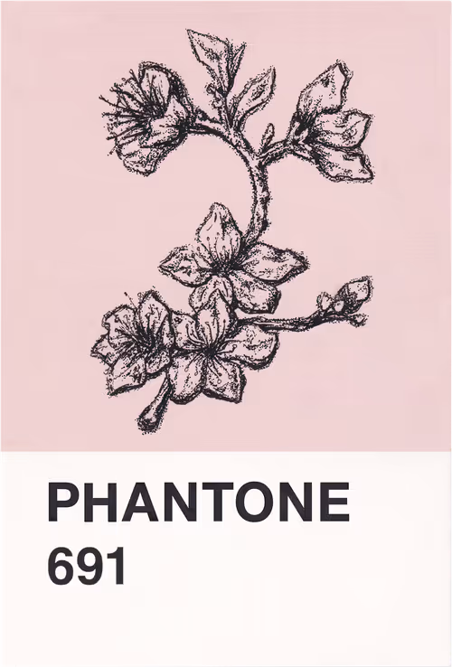 Item #23619072769629648887099014645842319039725167025197022934232545087036053258241 Media