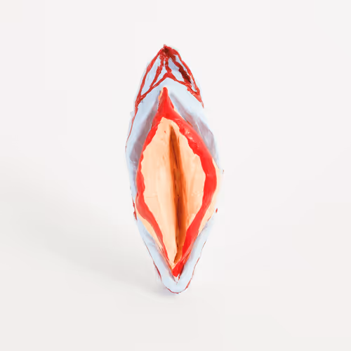Vagina NFTs