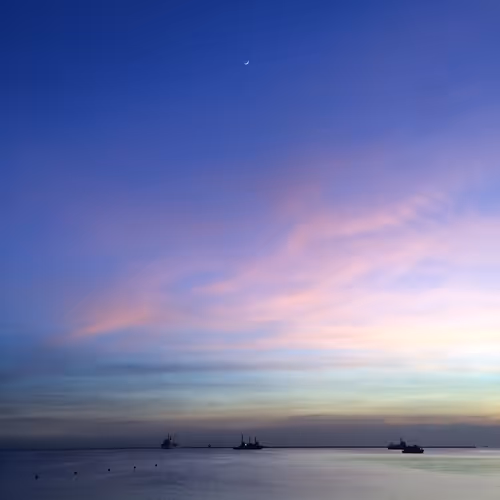 Untitled Collection #12181280 - old