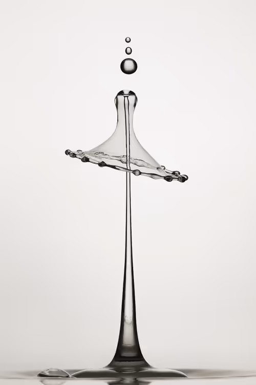 Item #56925950088807667091179859309160049593711726497790334072286926650353028956161 Media