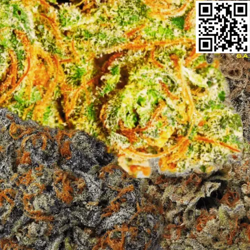 Item #61089433673675855013240100592429788426200334601701735580530433783992957272065 Media