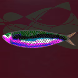 Pop Sardine #0014