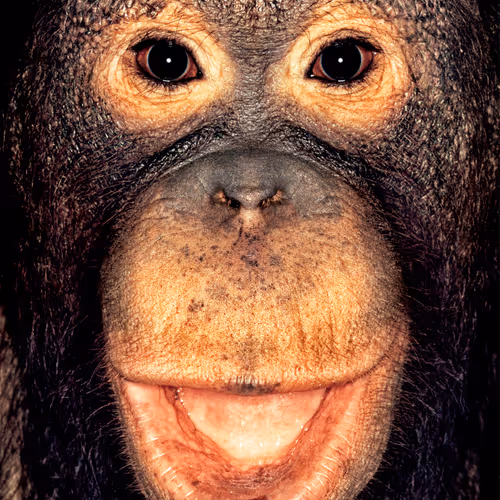 109162157552346088047496633038404394118504199992061596446112929737071570976769