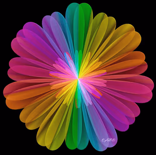 Item #82004528561297158706104901108257931176448679898719296468441169704935686668289 Media