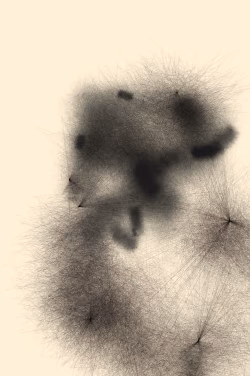 Item #36185115416937002872505001181703259709502937495131575006205630208370970460161 Media