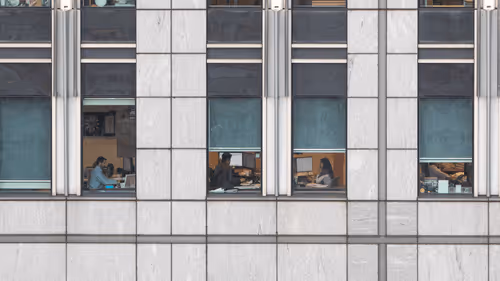 The Corporate America Series