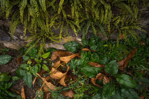 Item #6505089431552554568137386774614394979265528746054988378978093555515962425345 Media