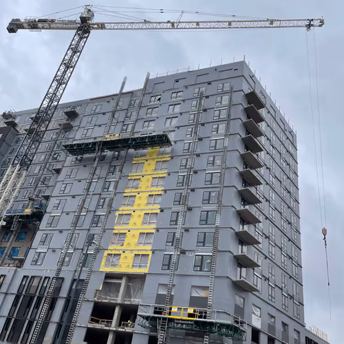 City Of Cranes