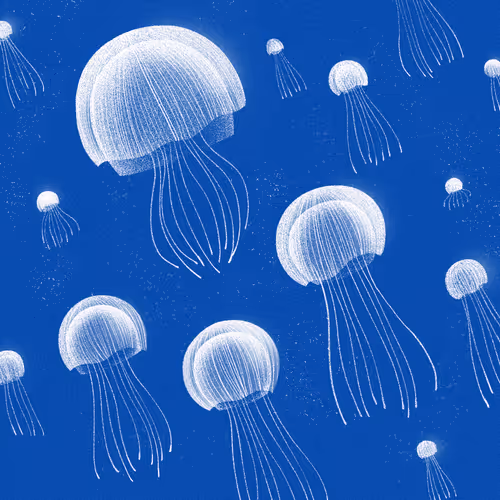 22595162815532753526113839877592438025422193508415084898168917339100856451073