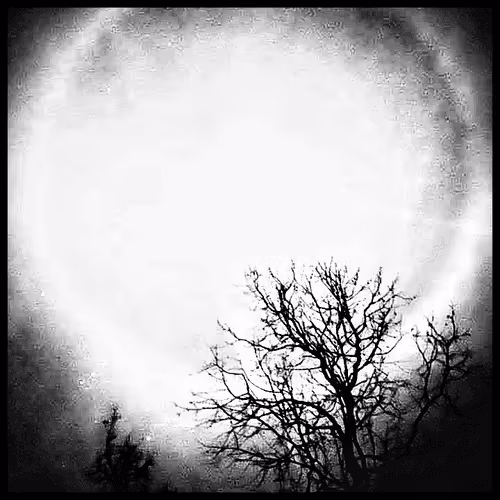 Item #68605712053382192846540923633795123035527930655349438703373875794165515681793 Media