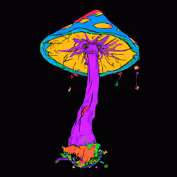 Toon Shroom