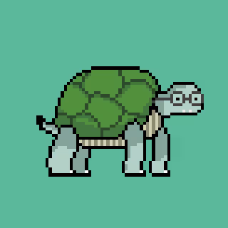 Turtle #082