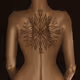 The lines on my body