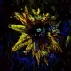 PSYCH0FLOWERS V1