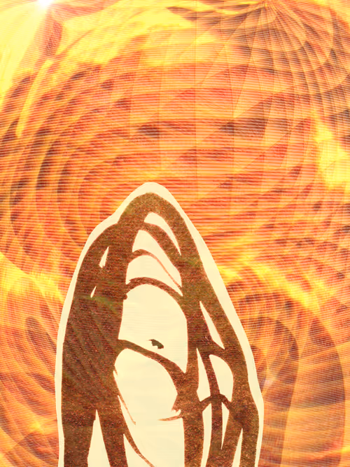 Item #19911364218433748653424316322906235250466405062634203599346109386293501755393 Media