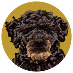 54766349128176429303044182404049584425310907481653304317570413894648448679937