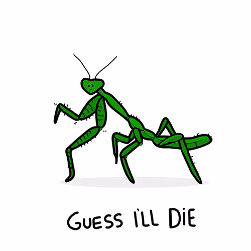 107202161922323840373840920573226827505822760765073025194140559740107986305025