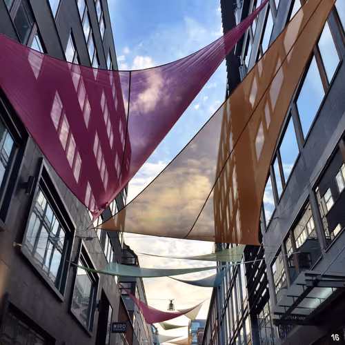 realchintanturakhia Collection