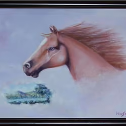 Horse's Dream