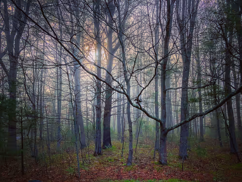 Item #50239258405250045857450517881020304913553746786080594918888786845097359572993 Media