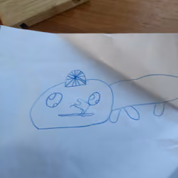 Cat fish