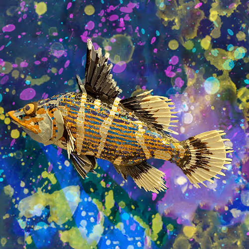 Item #9229184775601453528234625013194060345910383497059709964001987437228204228618 Media