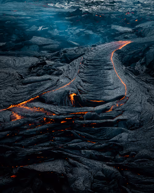 Item #71348397378810690825618428912408306798479722983811327082816877766373680349185 Media