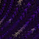 86754765244586695420174879780682304815618146145274494260801002598884301602817